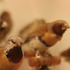 20120126065105-theorchestra