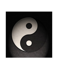 20120126185010-ying_yang_leather_texture