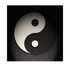 20120126185010-ying_yang_leather_texture