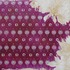 20120127123851-web_03_afamilyportlate