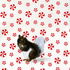 20120127124527-web_squirrel