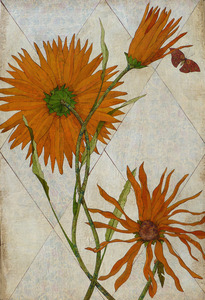 20120127183353-orange_flowers_2_x3_