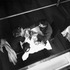 20120127232844-01__1