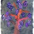 20120128235329-lucid_tree_00