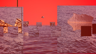 still from Water Panics in the Sea,Laleh Khorramian