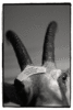 20120129174626-image