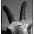 20120129174626-image