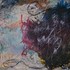 20120129204307-sea_kreature