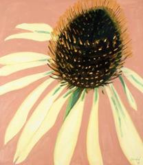 Echinacea,Lois Dodd