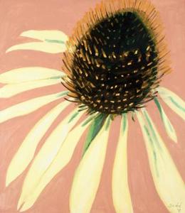 20120129220116-big_ld11_05echenacia