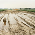 20120129232433-02_without_you