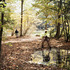 20120130000645-14_reflection