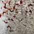 20120130001606-17_staples_x