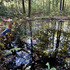 20120130002103-19_the_pool