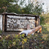 20120130003445-25_the_distance