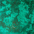 20120130042619-nework_13_moss