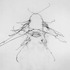 20120130084553-vapor_full_web
