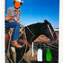 20120130231408-i_m_onto_greener_pastures_darlin_