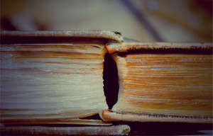 20120130231418-book10a