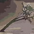 20120131015800-acaciatreecartoon1