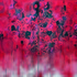20110811145813-a_vivid_memory_of_not_so_long_ago_1_