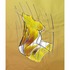 20120131141242-groise_t_80