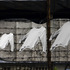 20120131142728-a_small_family_-_final