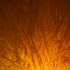 20120208203523-dsc_0032