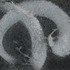 20120202003121-courtship