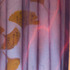 20120202020738-ginkgo3