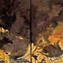 Golden_touch