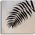 20120202171717-0904_black_palms2