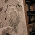 20120202184034-beltz_studio1