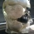 20120202185056-dupont_head_head