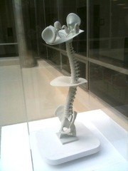 Ajna Spine Series 2,Michael Rees