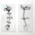 20120202205945-rees_vectors