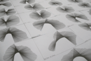 the 24-hour drawing project (detail) ,Robin Kandel