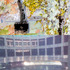 20120203235159-balzac_web