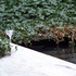 20120204010327-happynewyear2012_1