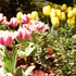 20120204010843-happynewyear2012_3