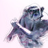 20120204024317-chimp2