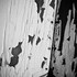 20120204081302-010108_3932