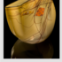 20120204123318-home-chihuly1