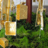 20120204160627-familytreedet2