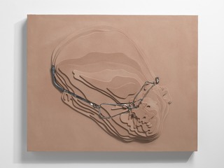 Bog 4,Tim Hawkinson