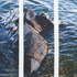 20120205030517-lakerock-cropped