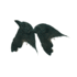 20120204225742-picapica