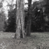 20120204230859-somewhere_-in-the-middle-of-nowhere