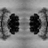20120204231448-myimaginarybetacell