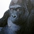 20120204231625-ergo_sum_ester-curini_2011-2012